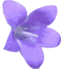 Blurred Violet Clip Art
